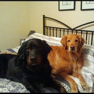 Meet your Posher, Laurie